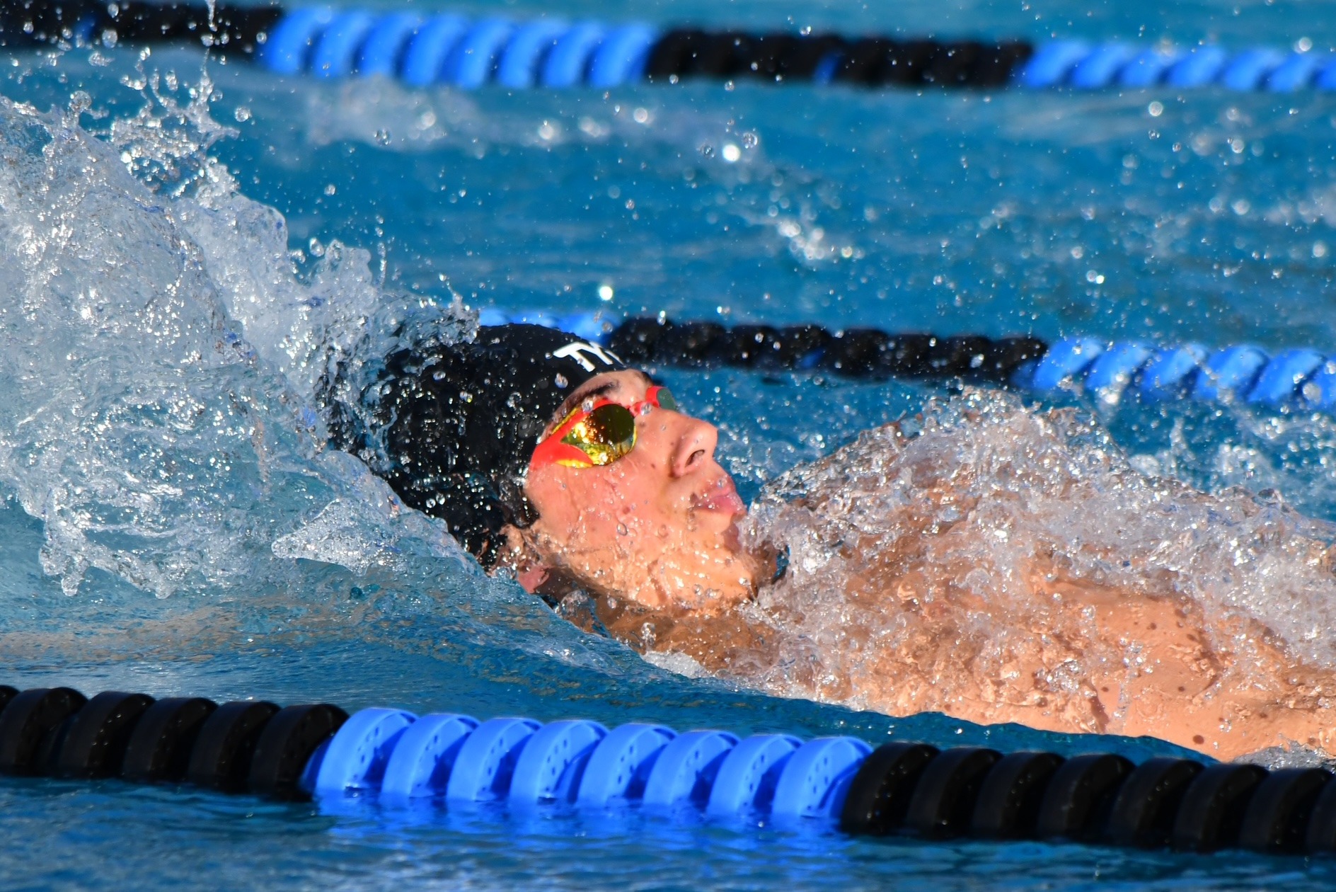 Adult swimmer moving through a pool lane